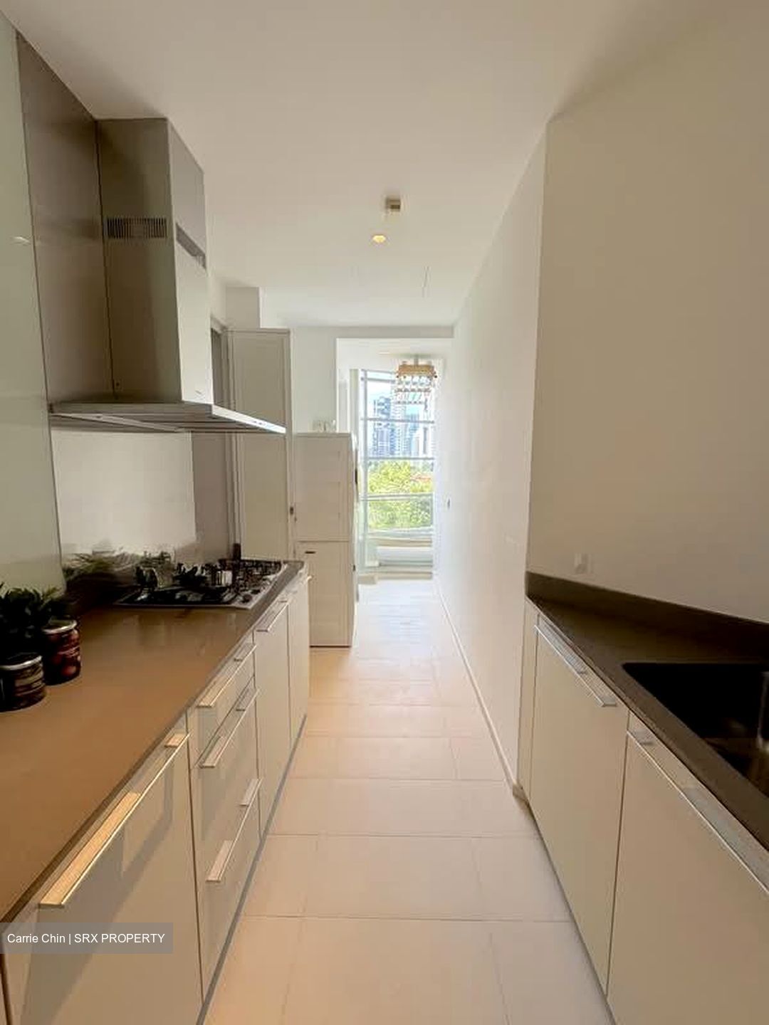 Cliveden At Grange (D10), Condominium #576766751